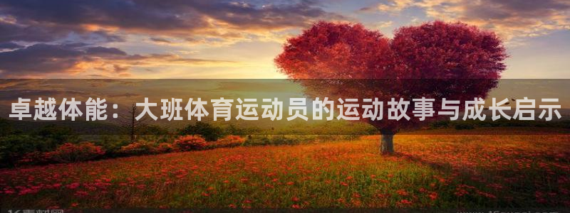 熊猫体育在线：卓越体能：大班体育运动员的运动故事与成长启示