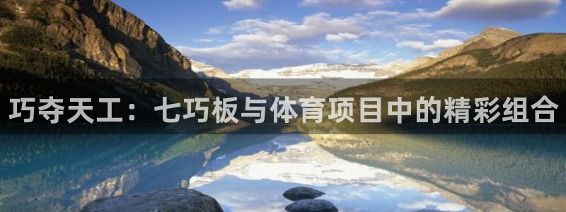 动感熊猫体育公园：巧夺天工：七巧板与体育项目中的精彩组合