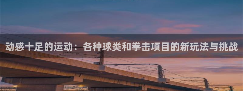 熊猫体育网站：动感十足的运动：各种球类和拳击项目的新玩法与挑战