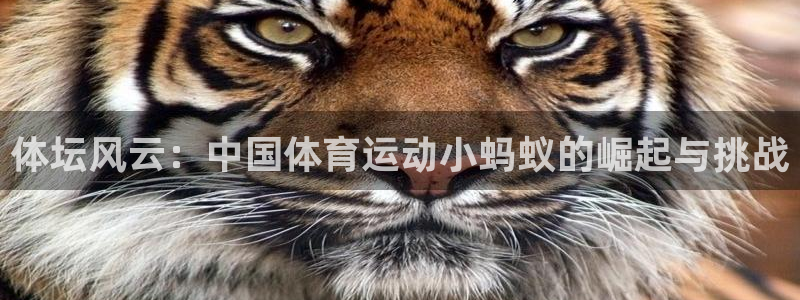 熊猫体育平台：体坛风云：中国体育运动小蚂蚁的崛起与挑战