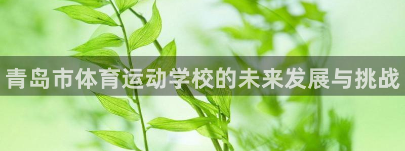 下载熊猫体育：青岛市体育运动学校的未来发展与挑战