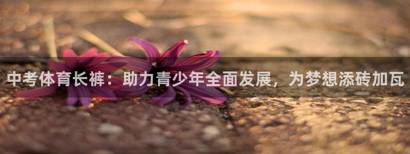 181熊猫体育：中考体育长裤：助力青少年全面发展，为梦想添砖加瓦