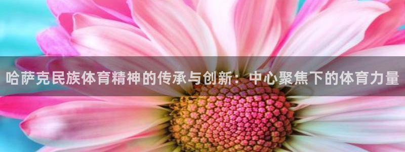 中山熊猫体育：哈萨克民族体育精神的传承与创新：中心聚焦下的体育力量