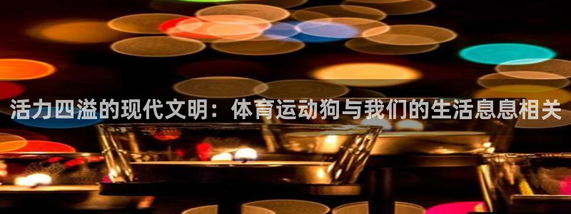 熊猫体育网址：活力四溢的现代文明：体育运动狗与我们的生活息息相关