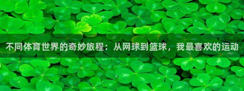 181熊猫体育：不同体育世界的奇妙旅程：从网球到篮球，我最喜欢的运动