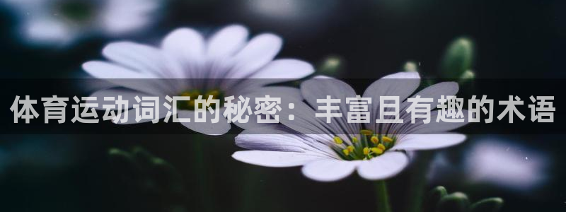 熊猫体育在线：体育运动词汇的秘密：丰富且有趣的术语