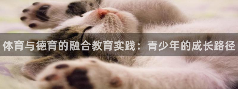 熊猫体育app官网入口：体育与德育的融合教育实践：青少年的成长路径