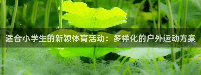 熊猫体育app官方下载最新版：适合小学生的新颖体育活动：多样化的户外运动方案