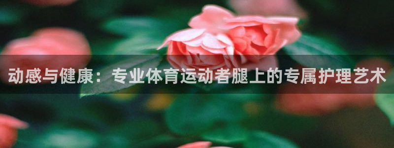 熊猫体育直播：动感与健康：专业体育运动者腿上的专属护理艺术